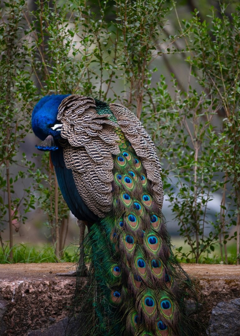 Adventure Delhi Tour