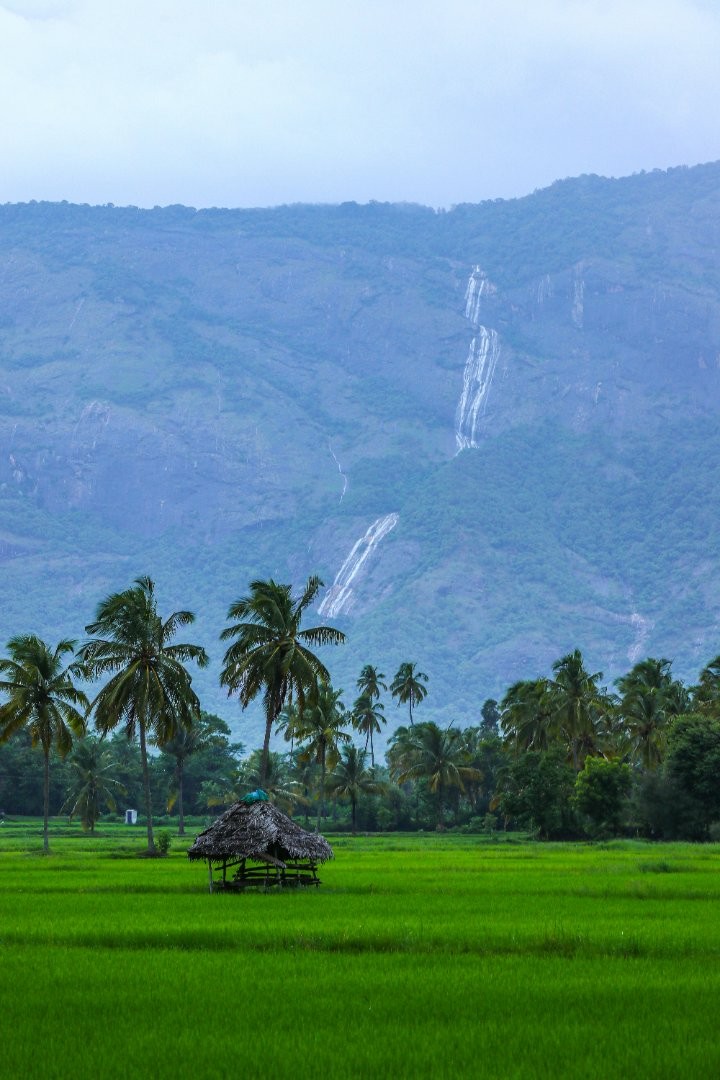 Kerala Nature Retreat